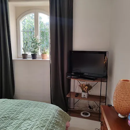 Sonniges In Jugendstilvilla