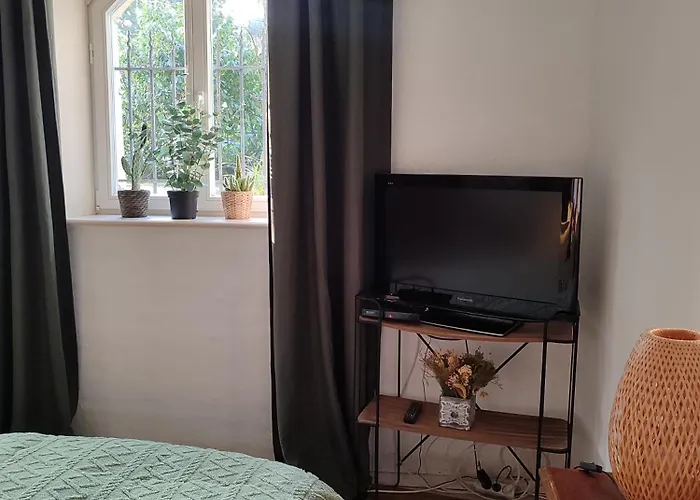 Sonniges In Jugendstilvilla